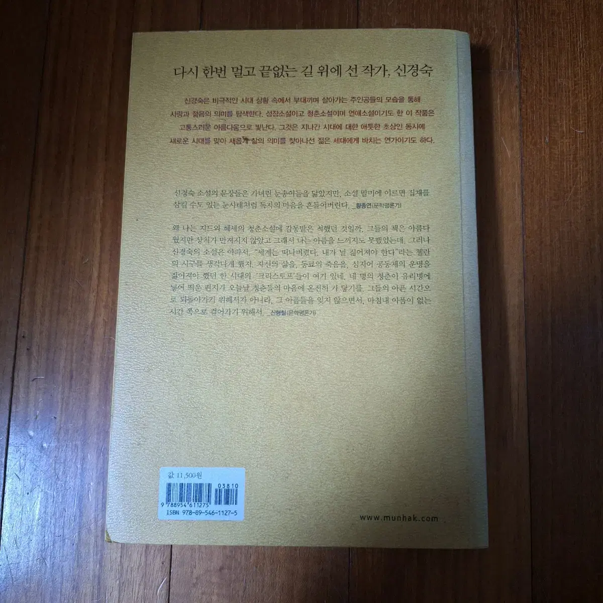 # 어디선가 전화벨이 울리고(신경숙 장편소설)