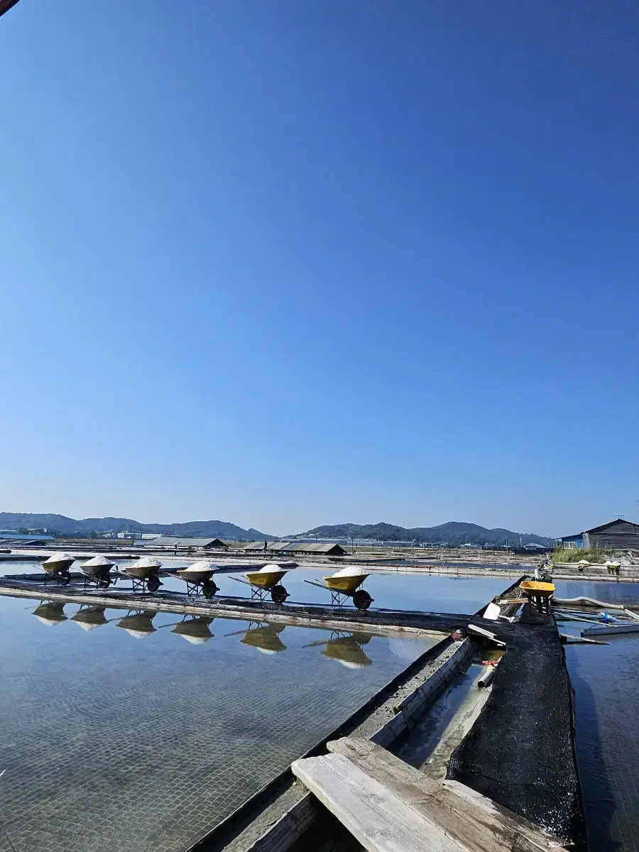 국산 천일염