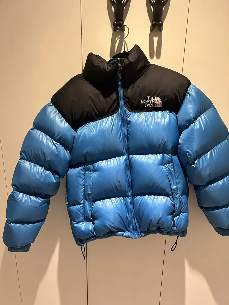 The North Face Nupsi 700 (95)