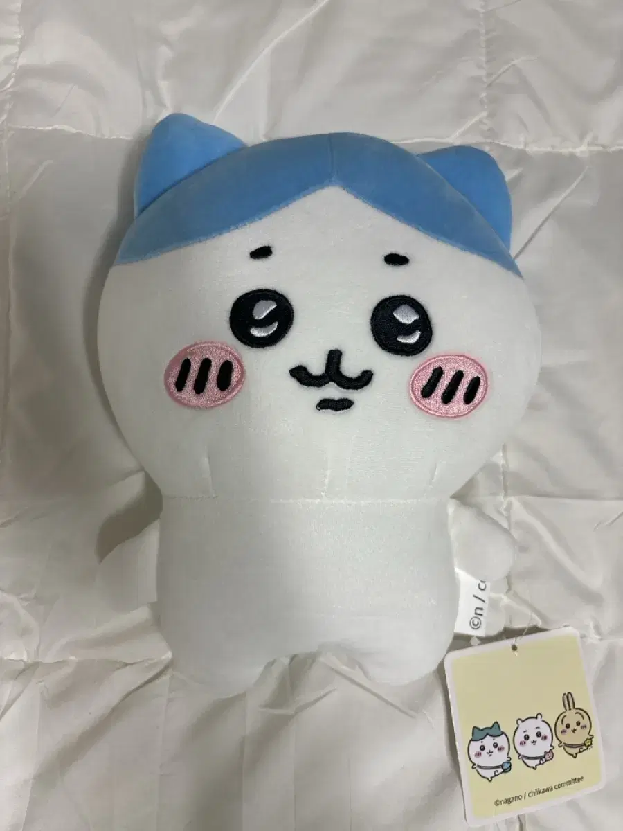 먼작귀 인형 팝니당 (하치와레 25cm)