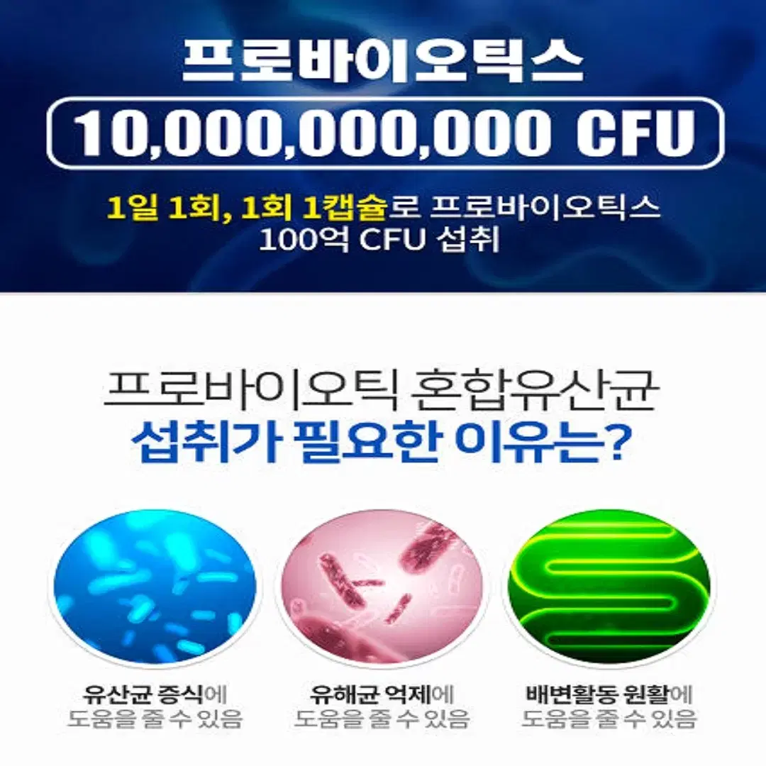 [2개월]내츄럴 프로바이오틱스 100억 프락토올리고당 유산균 60캡슐