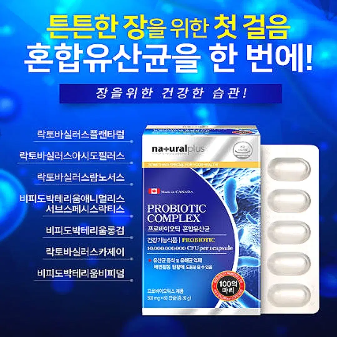 [2개월]내츄럴 프로바이오틱스 100억 프락토올리고당 유산균 60캡슐