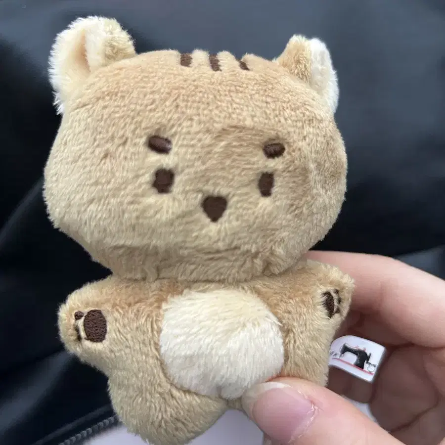 루시 엽람지 10cm 인형 판매