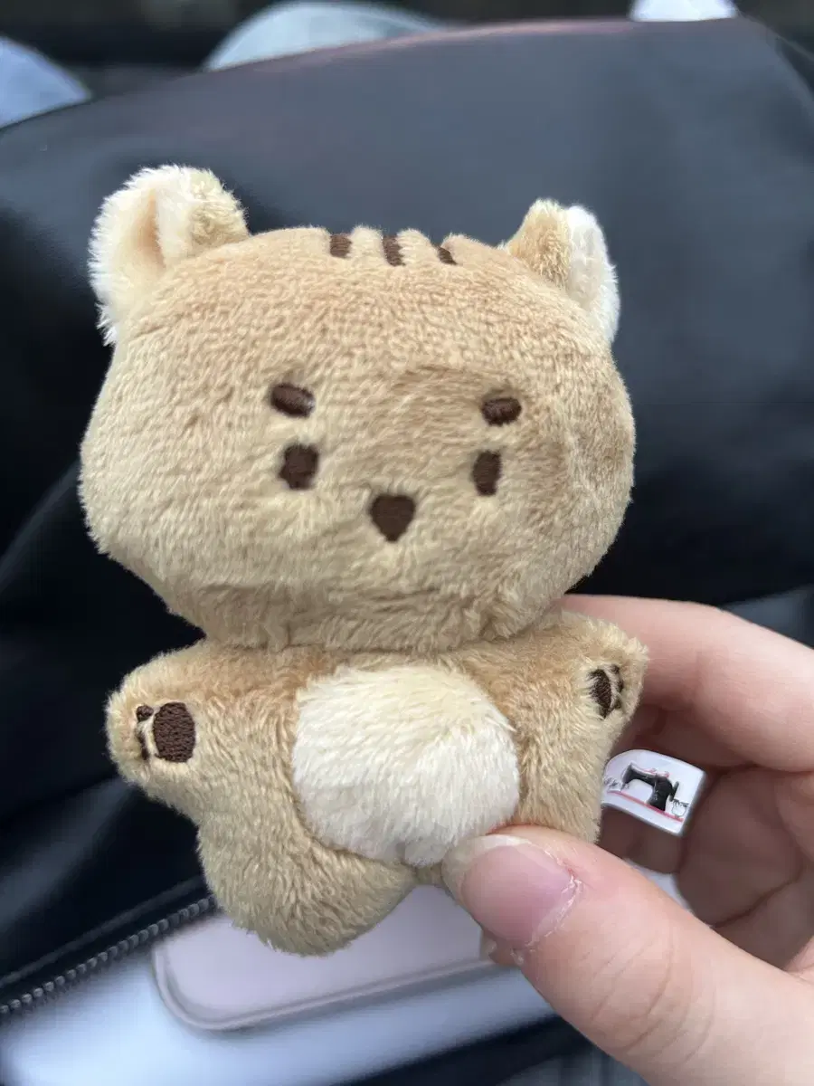 루시 엽람지 10cm 인형 판매