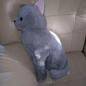 먼지 고양이 참깨 봉제 인형