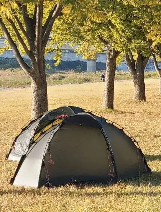 Hilleberg Solo Black Label Dark Green color sold