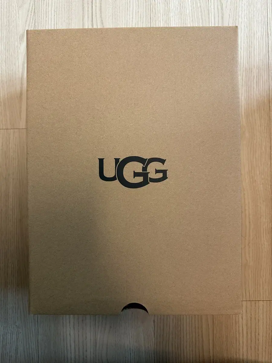 어그 어그 UGG 클래식 미니 2 체스트넛 (1016222-CHE)