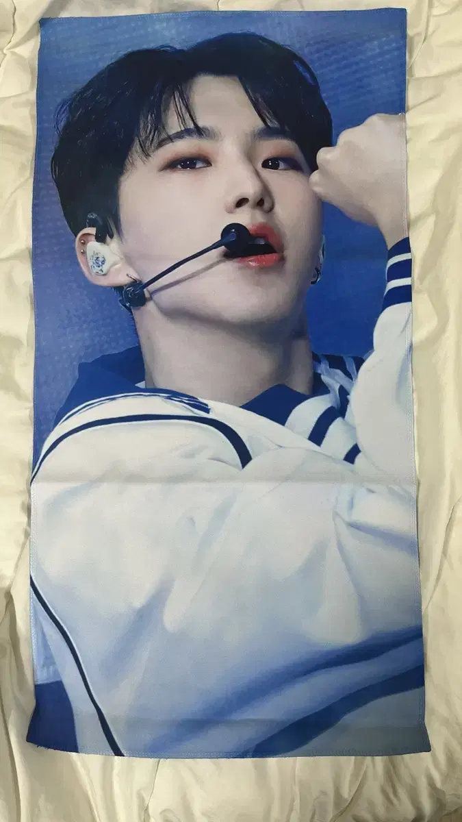 Seventeen hoshi slogan WTS