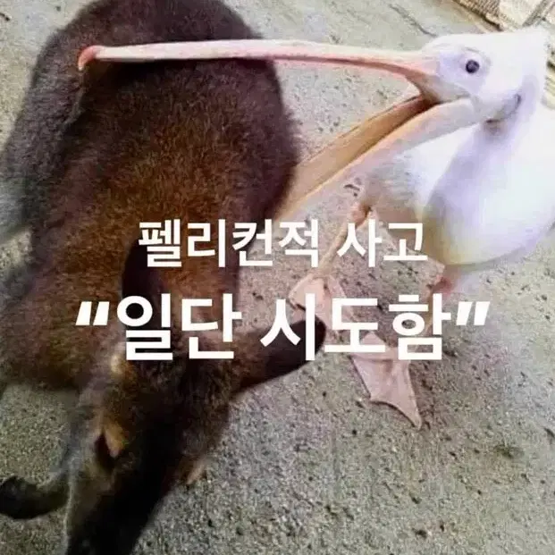 리뷰알바 댓글알바 좋아요 팔로우 알바합니다