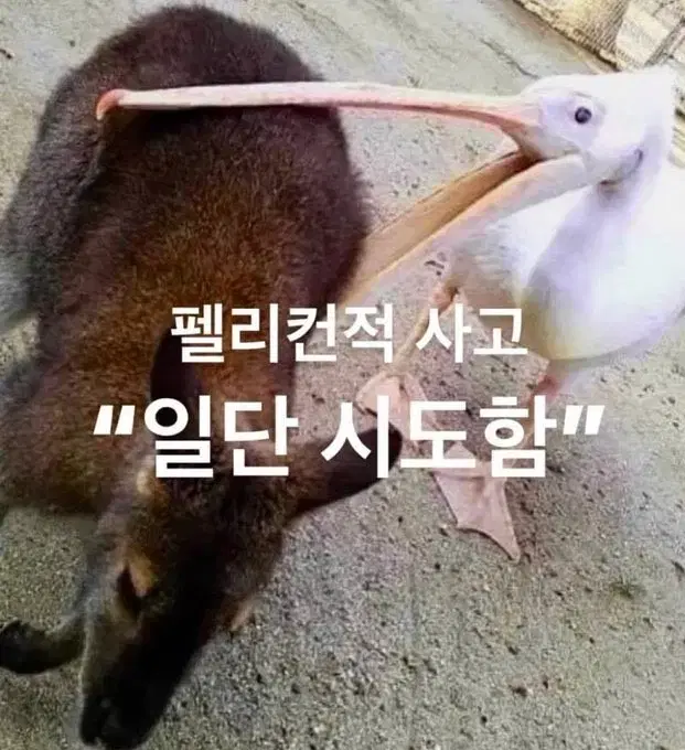 리뷰알바 댓글알바 좋아요 팔로우 알바합니다