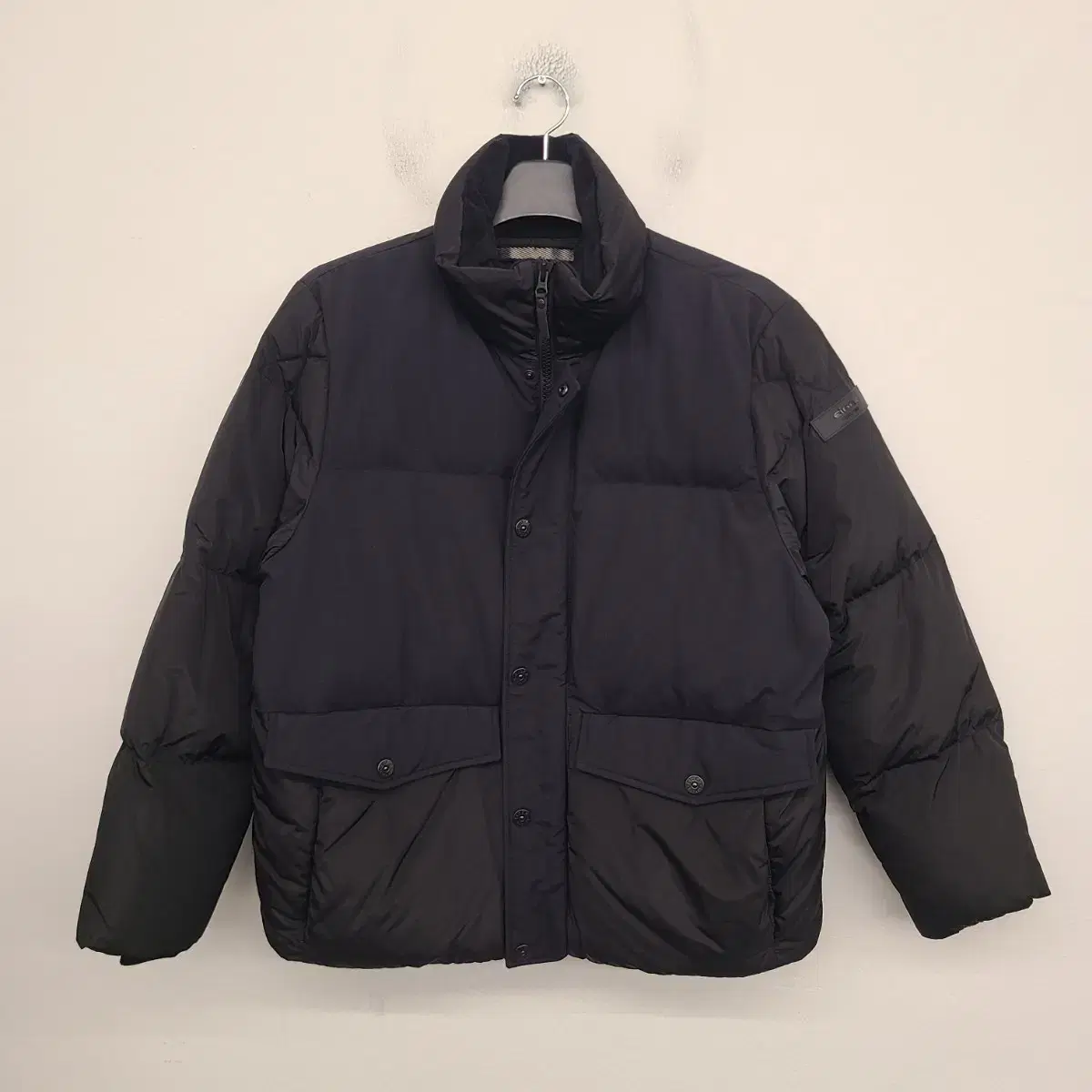 [100/L] Eider Duck Down Padding