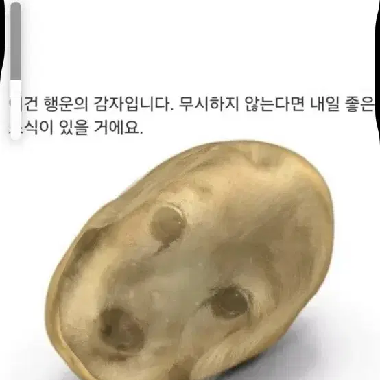 픽시 용품들 급처 매물 삽니다