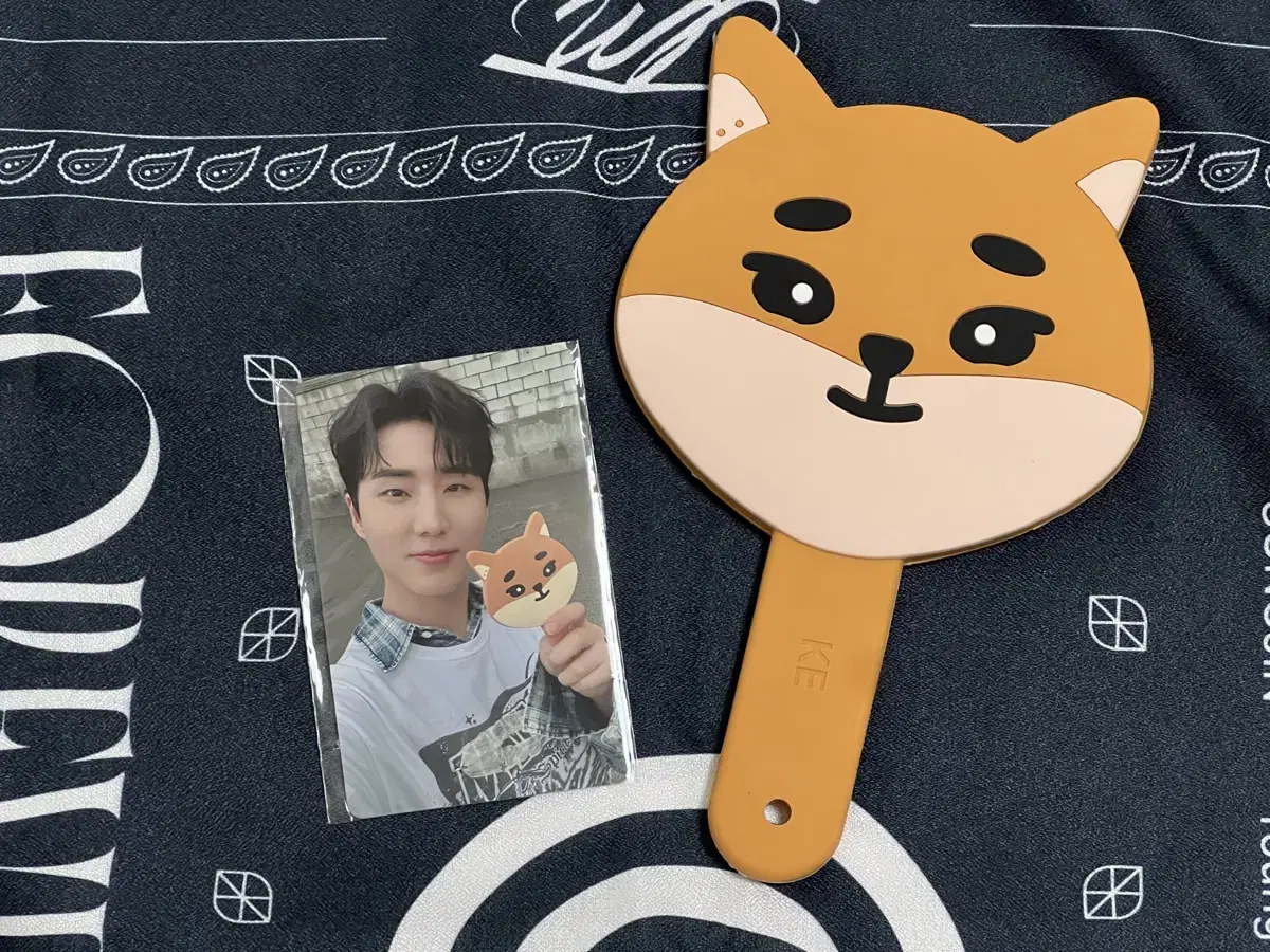 Day 6 Young K Mirror photocard in bulk