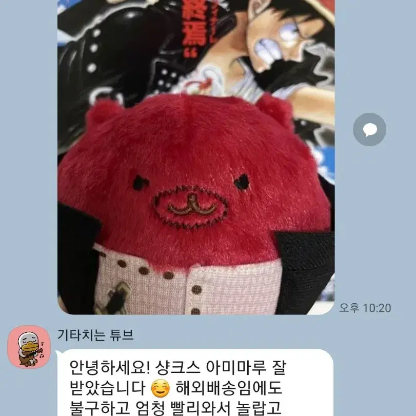 원피스 아미마루 누이 누이구루미 정품 인형 공구