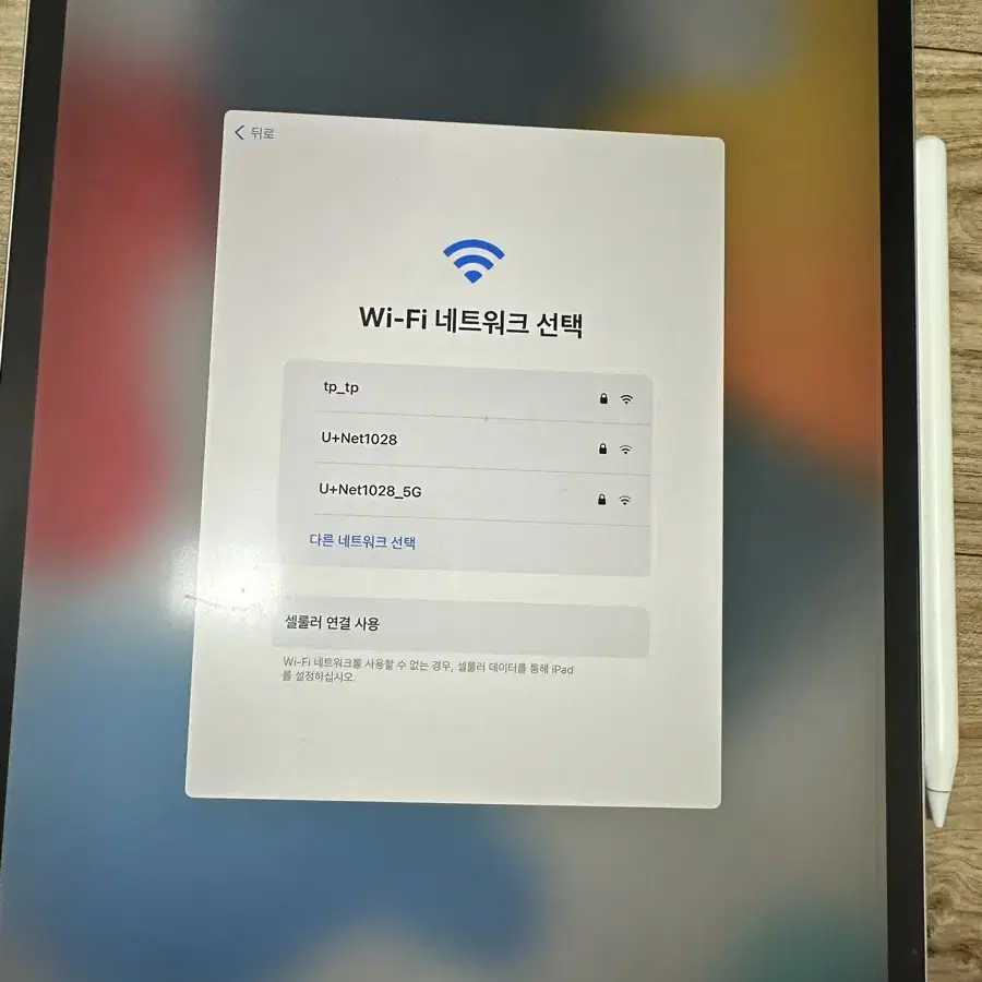 아이패드프로12.9 3세대 wifi 256GB + 애플펜슬