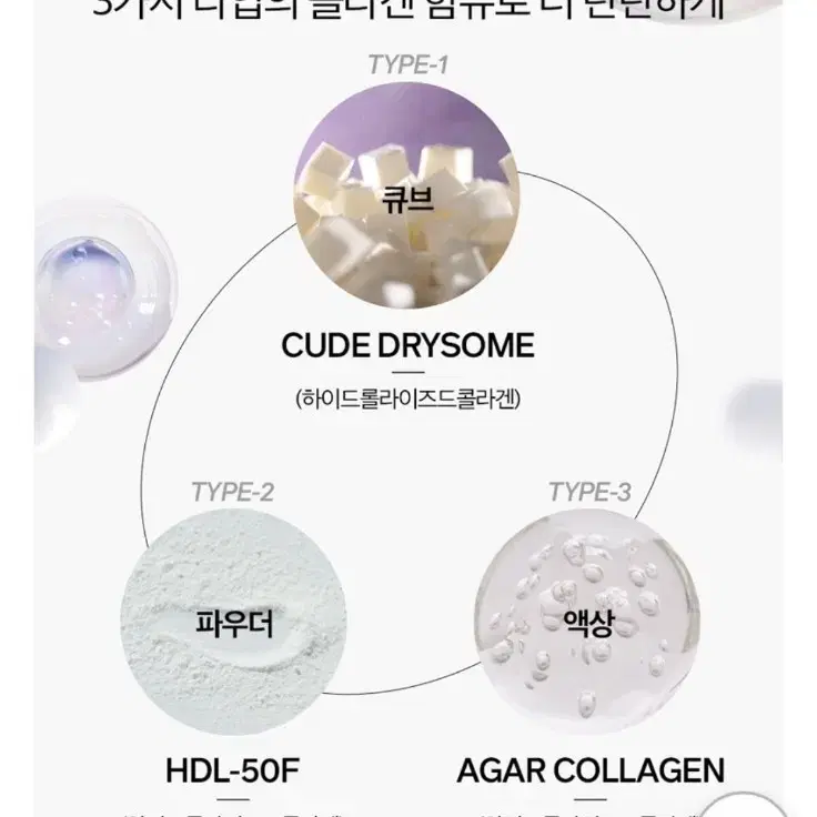 참존 탑클래스 더 콜라겐 리프팅