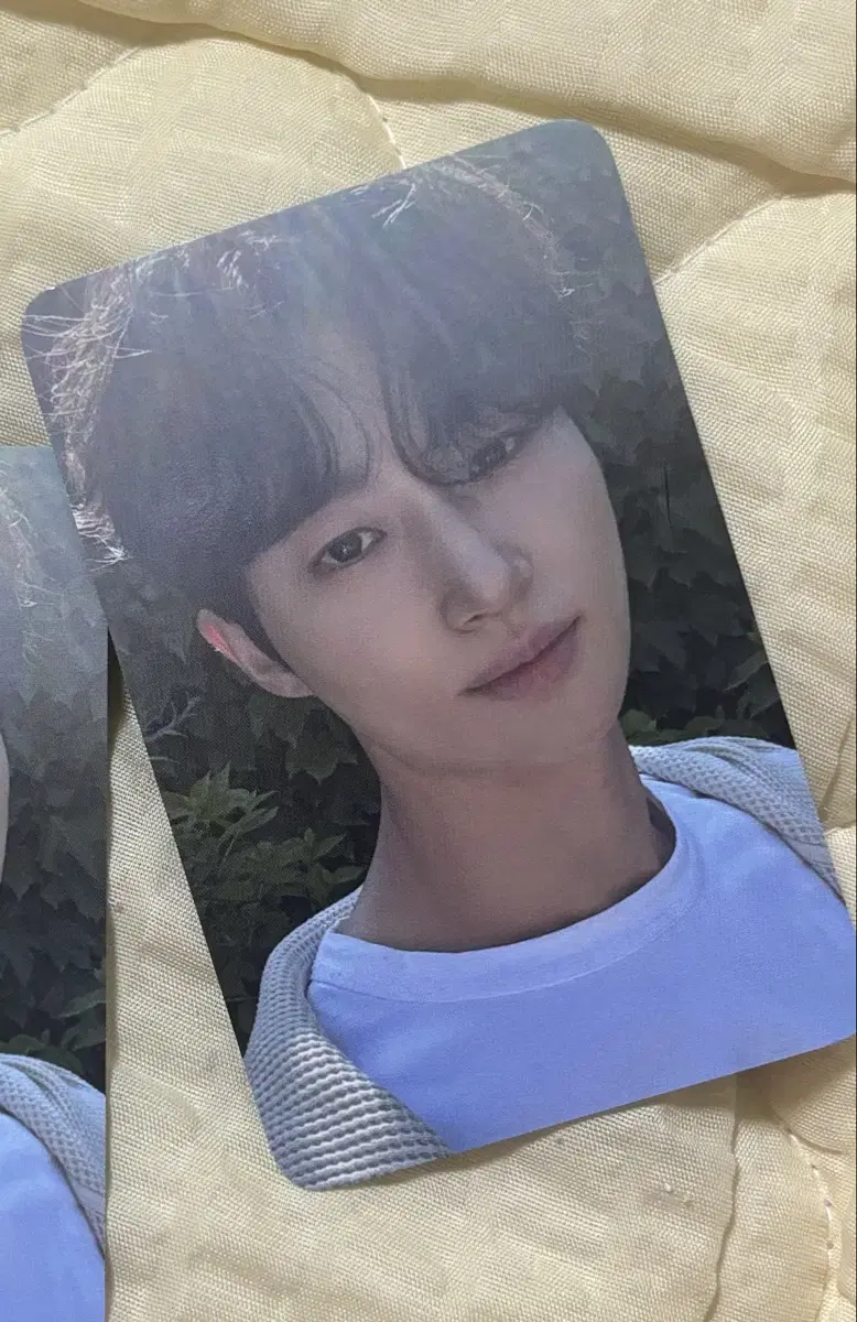 Wooseok Byun photocard Cheongshangari pre-order benefit photocard