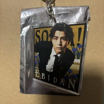 초특급 할 아크링 키링 소이어