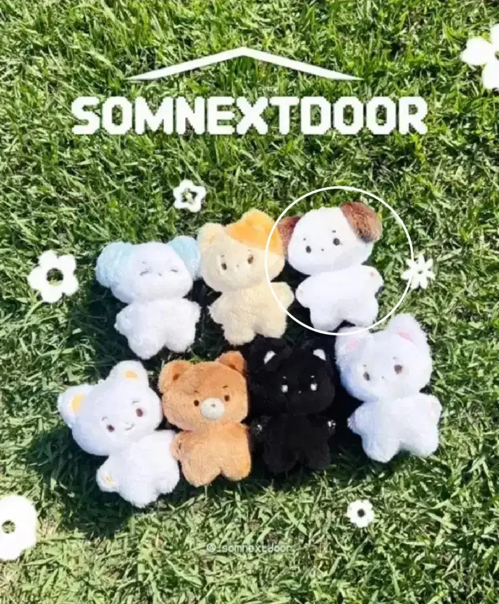 boynextdoor somyi doll wts