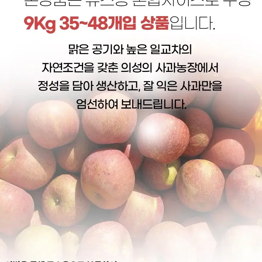 경북사과  쥬스용 못난이 혼합 35-48개 9kg