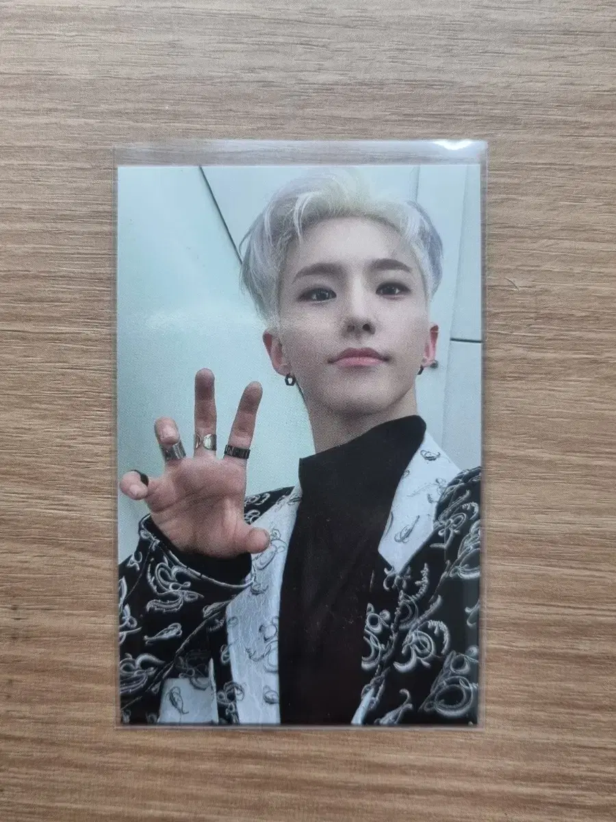 <가격내림>Spider hoshi Tiger Sea Photocard