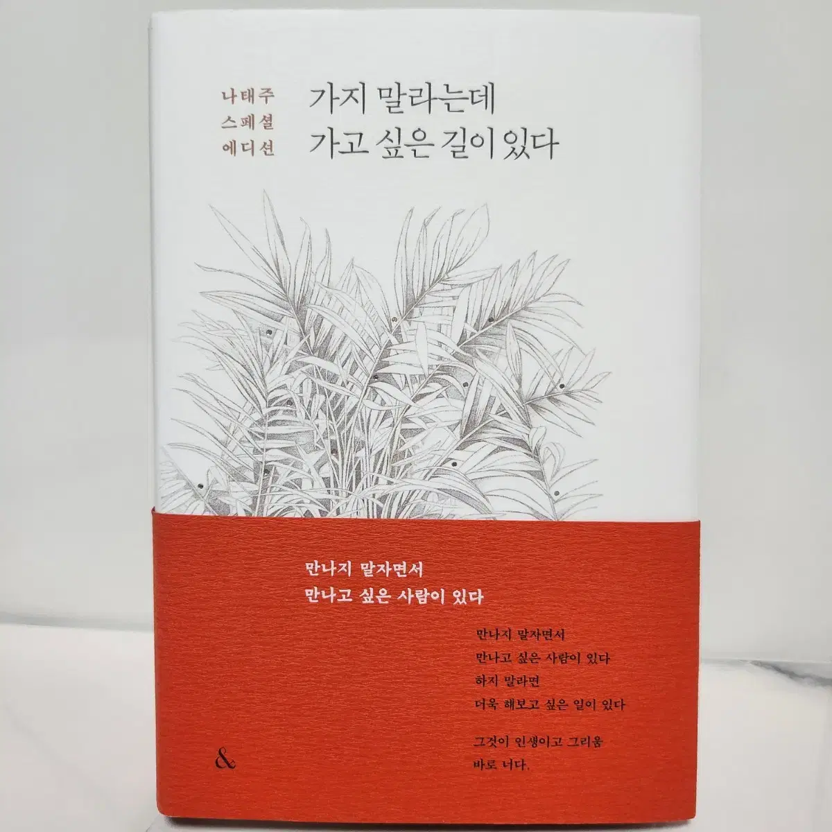 책정가25,000)나태주 스페셜에디션(가지말라는데 가고 싶은 길이 있다)