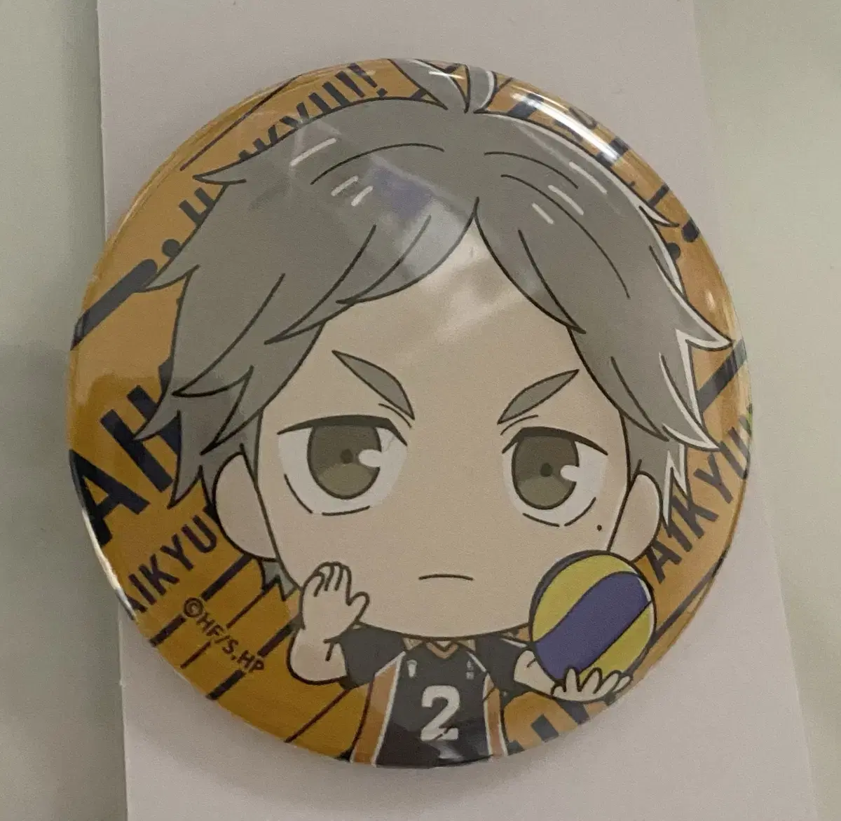 Haikyuu Sugawara Canbadge