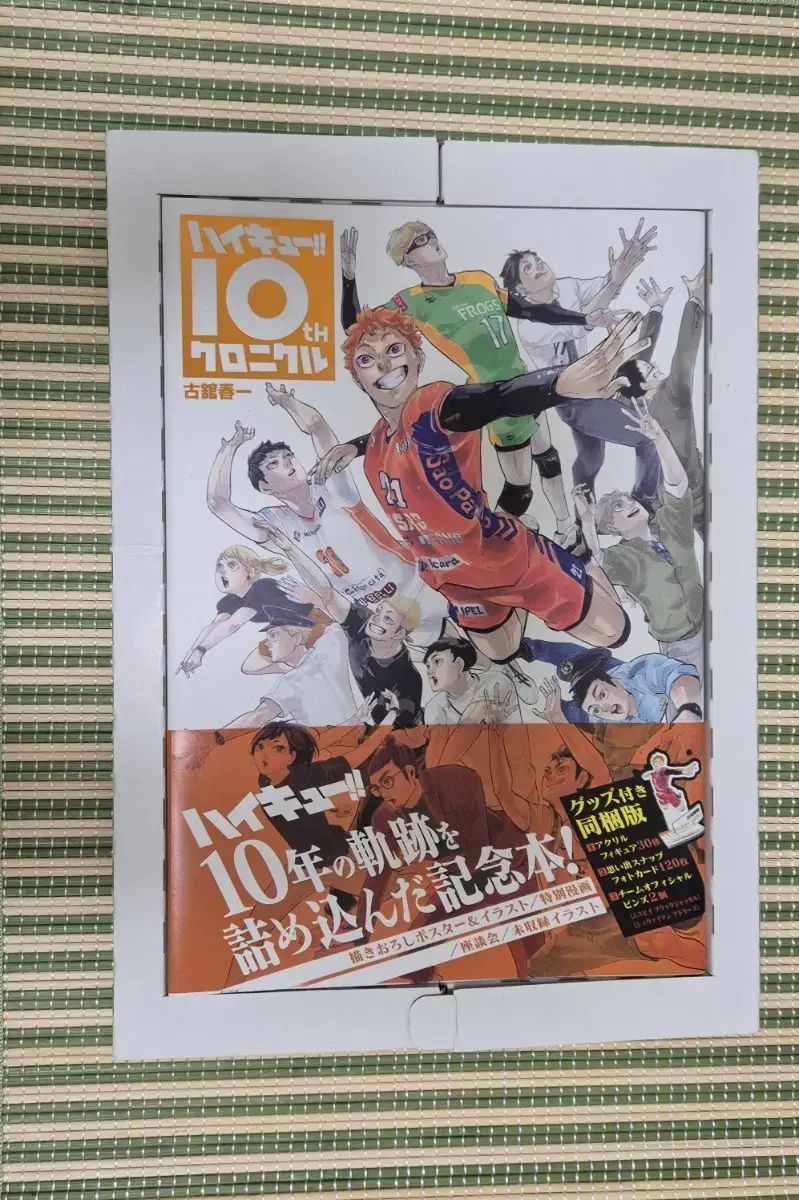 Haikyuu 10th Anniversary Chronicle (unsealed)