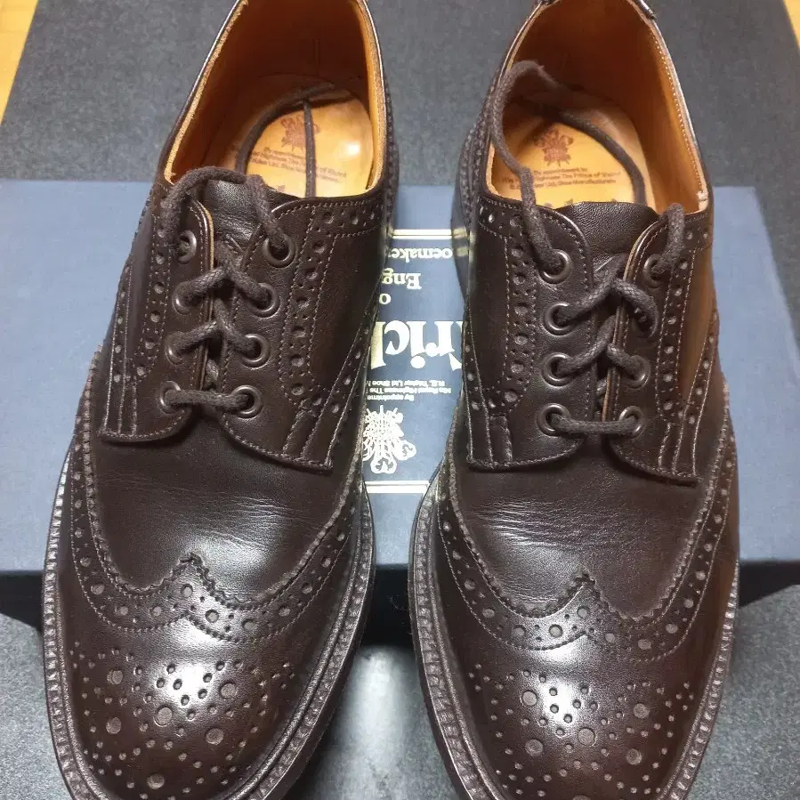 Tricker's Bourton (espresso) uk 8.5