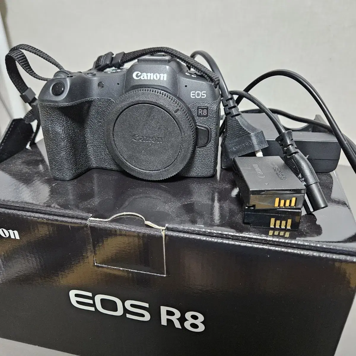 캐논 eos r8