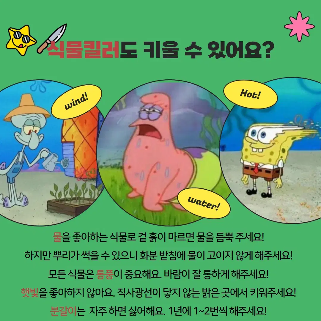 조경 식물 관리 전문업체