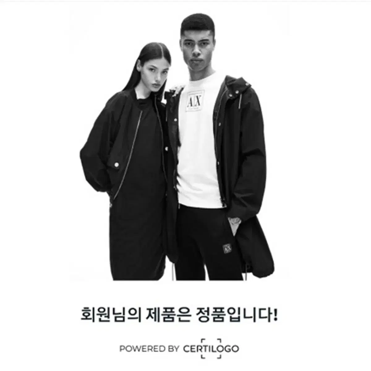 정품 아르마니 면 라운드 니트 남성 큰 XL ~ 2XL 봄 가을 간절기