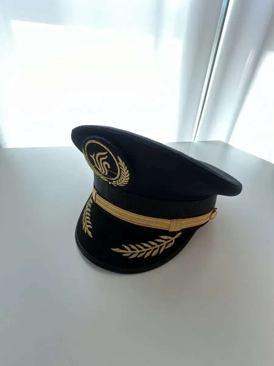 Sell Halloween uniform (pilot, captain) costumes