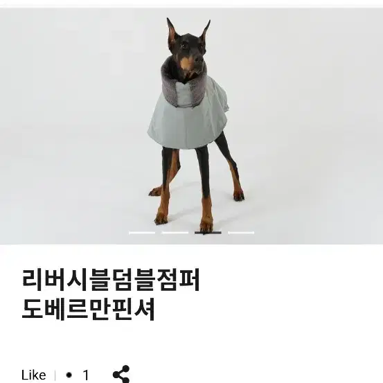 닥터 브리즈 리버시블 더블점퍼 대형견 패딩 L