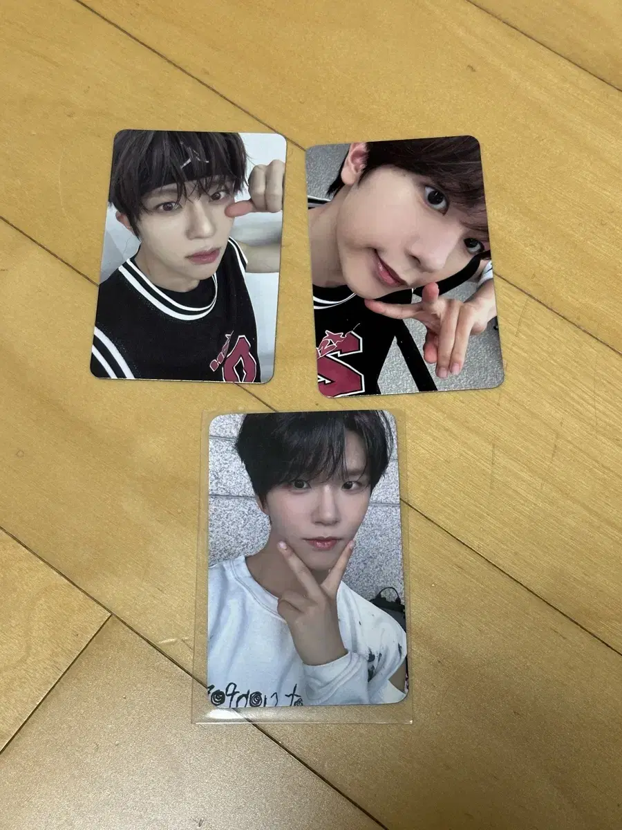 Steady with muu Youngtong Pansa photocard Jaehee, Steady album Sion, Ryo Selfie