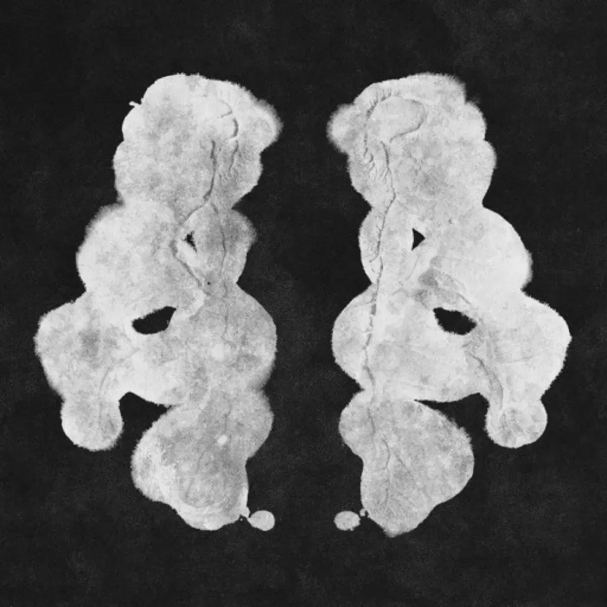 페노메코 Rorschach 로르샤흐 싸인 개봉반