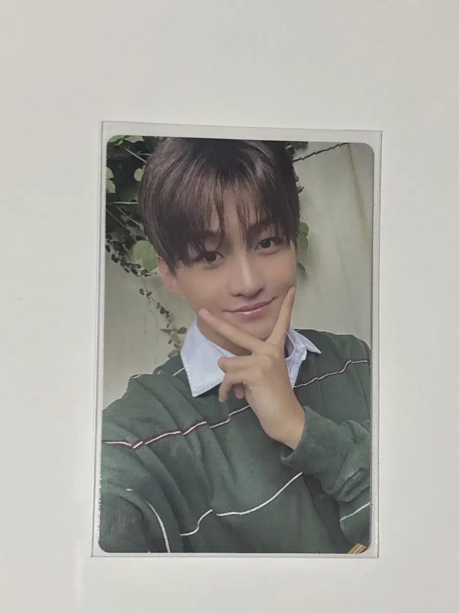 Tours jihoon photocard