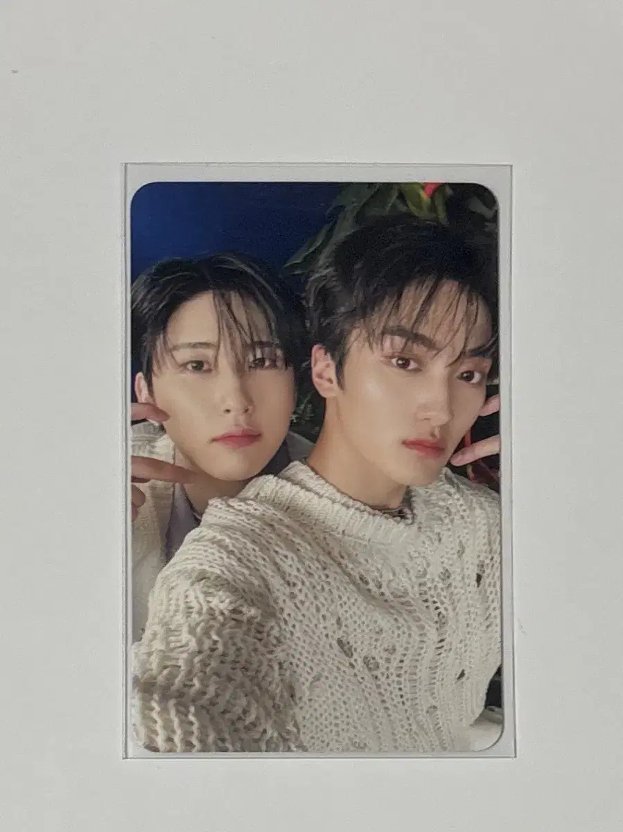 Cravity Photo Card