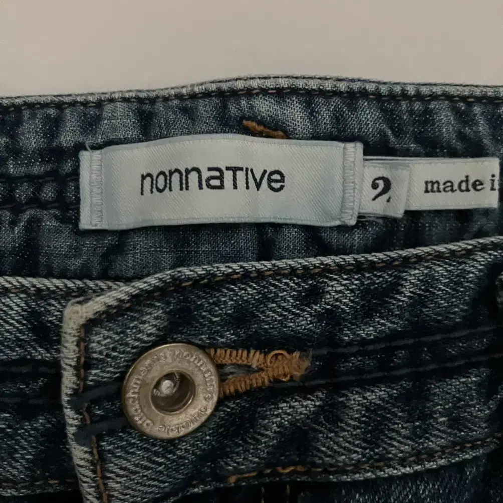 논네이티브 nonnative 워싱진