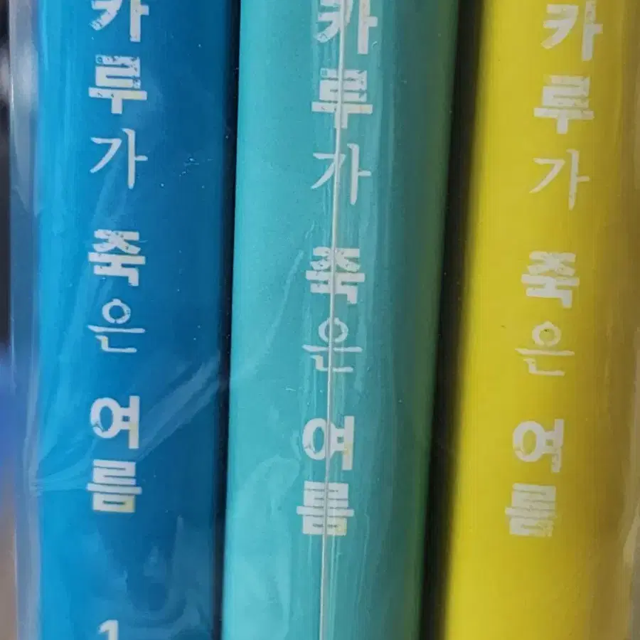 히카루가 죽은 여름 1,2,3-특장판 일괄