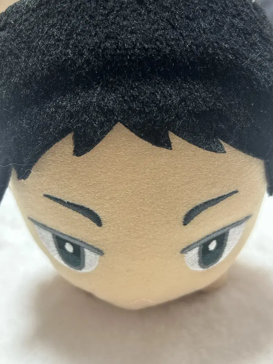 Haikyuu Akaashi Flying Receive Nuigurumi