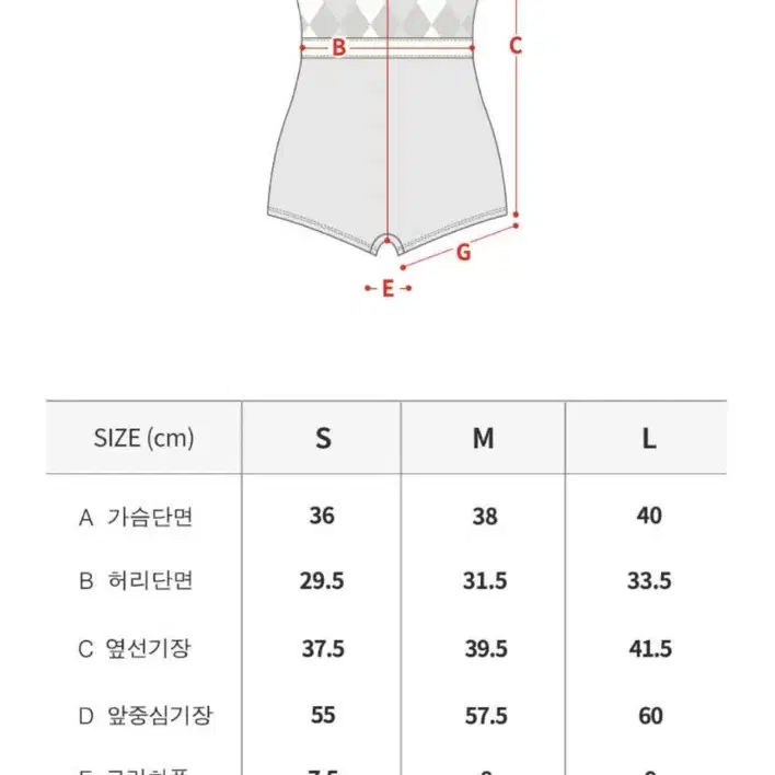 코랄리크 아가일 모노키니 수영복 (새상품)