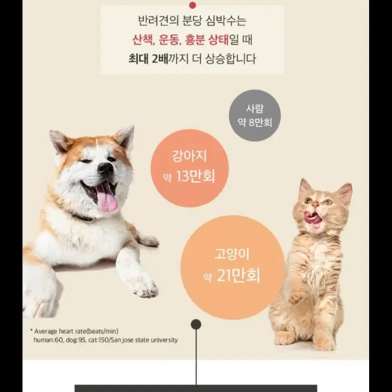 이지너프 강아지 고양이 심장 영양제 (새상품)