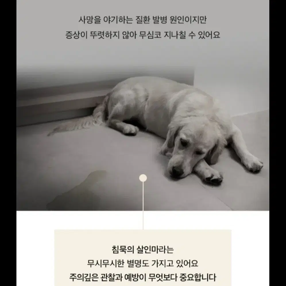 이지너프 강아지 고양이 심장 영양제 (새상품)