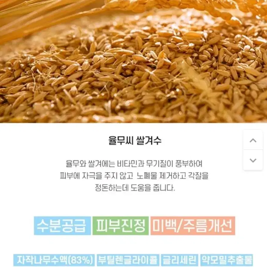 에센스 토너