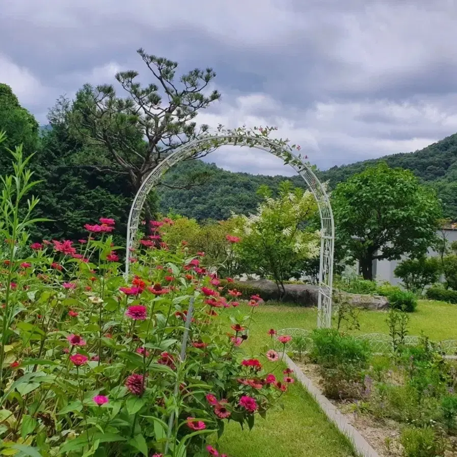 충주시 수안보 전원주택판매