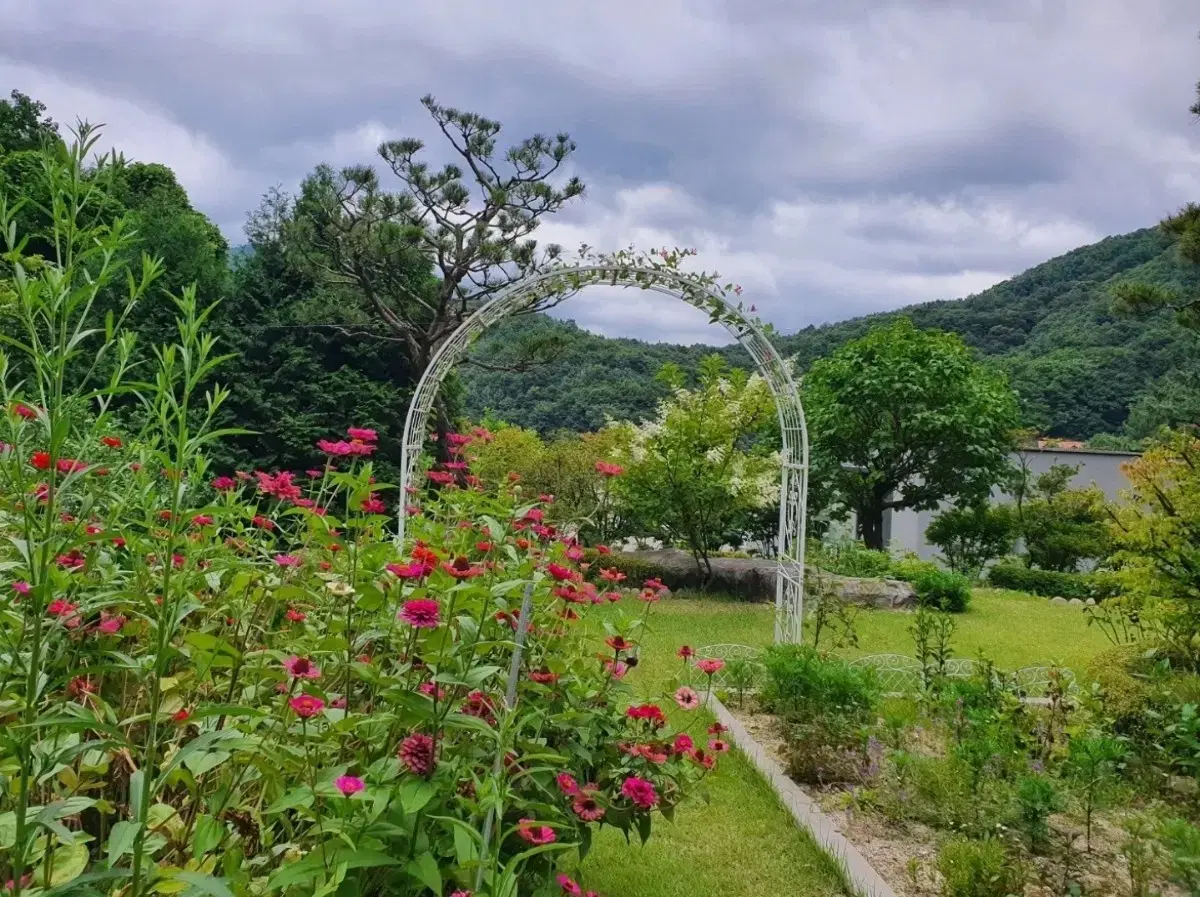 충주시 수안보 전원주택판매