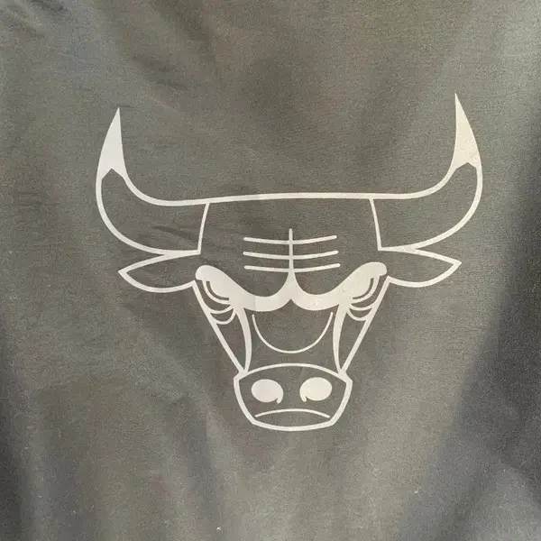 NBA CHICAGO BULLS 아노락 집업 S