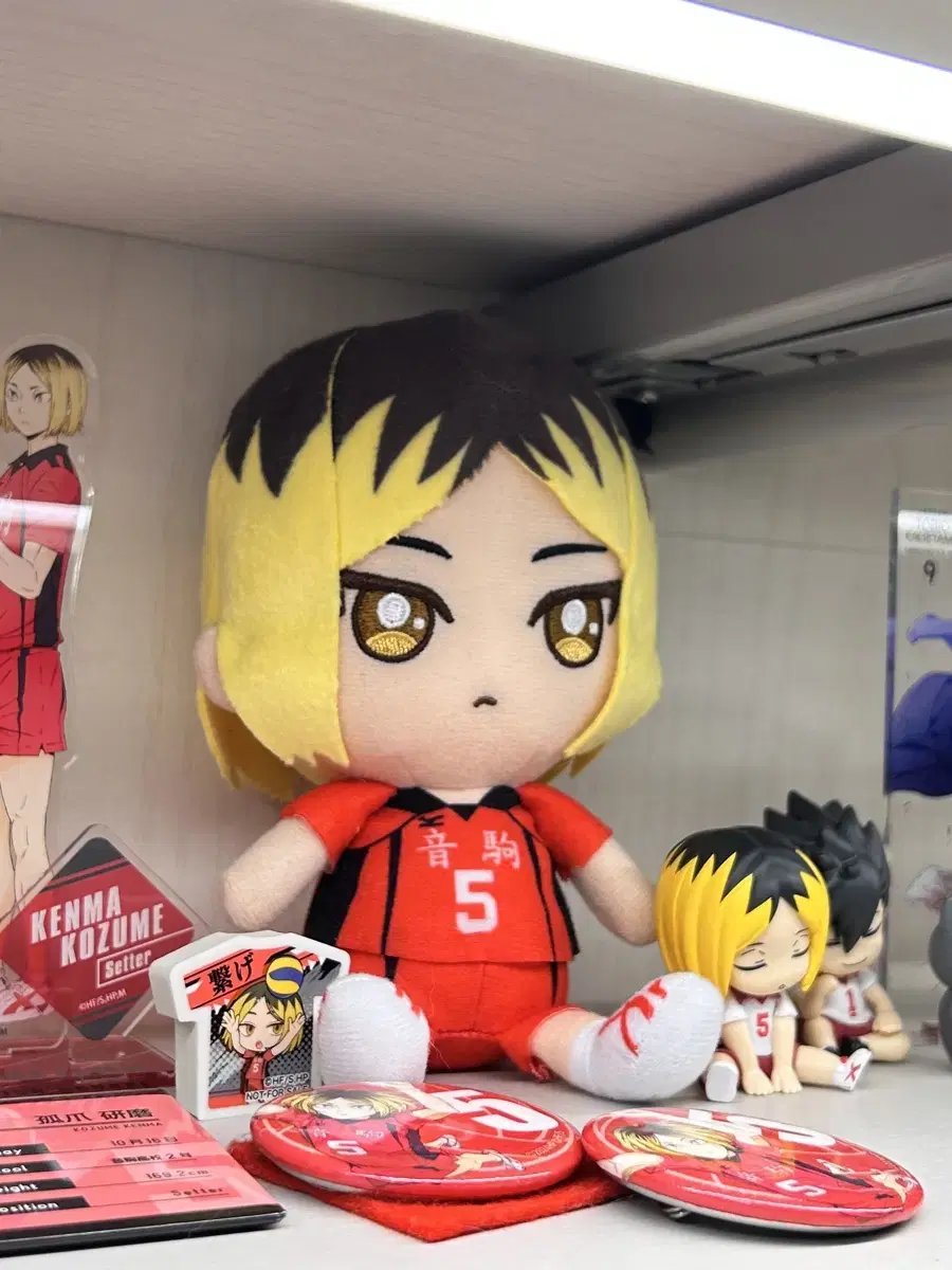 Haikyuu Kozume Kenma Chibinui Chibikyurumi Doll