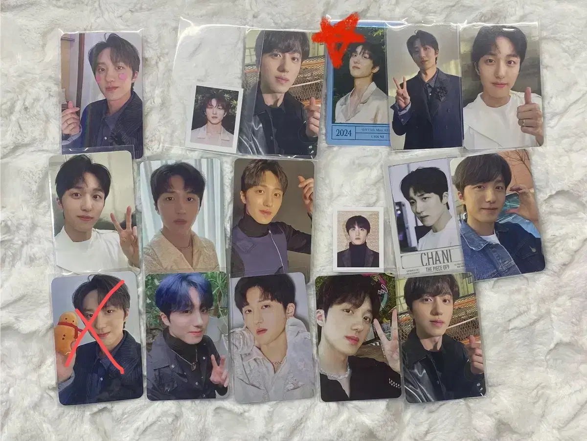 SF9 chani photocard wts